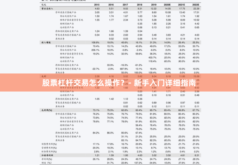 股票杠杆交易怎么操作？- 新手入门详细指南